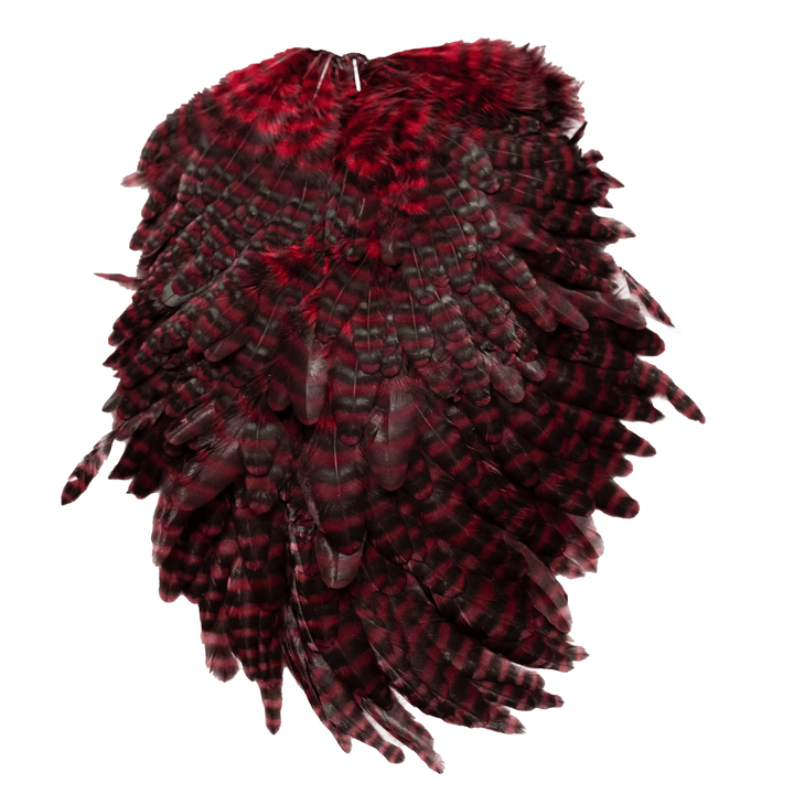 Whiting Specialty Bugger Saddle - Hackle - Fly Fish Food