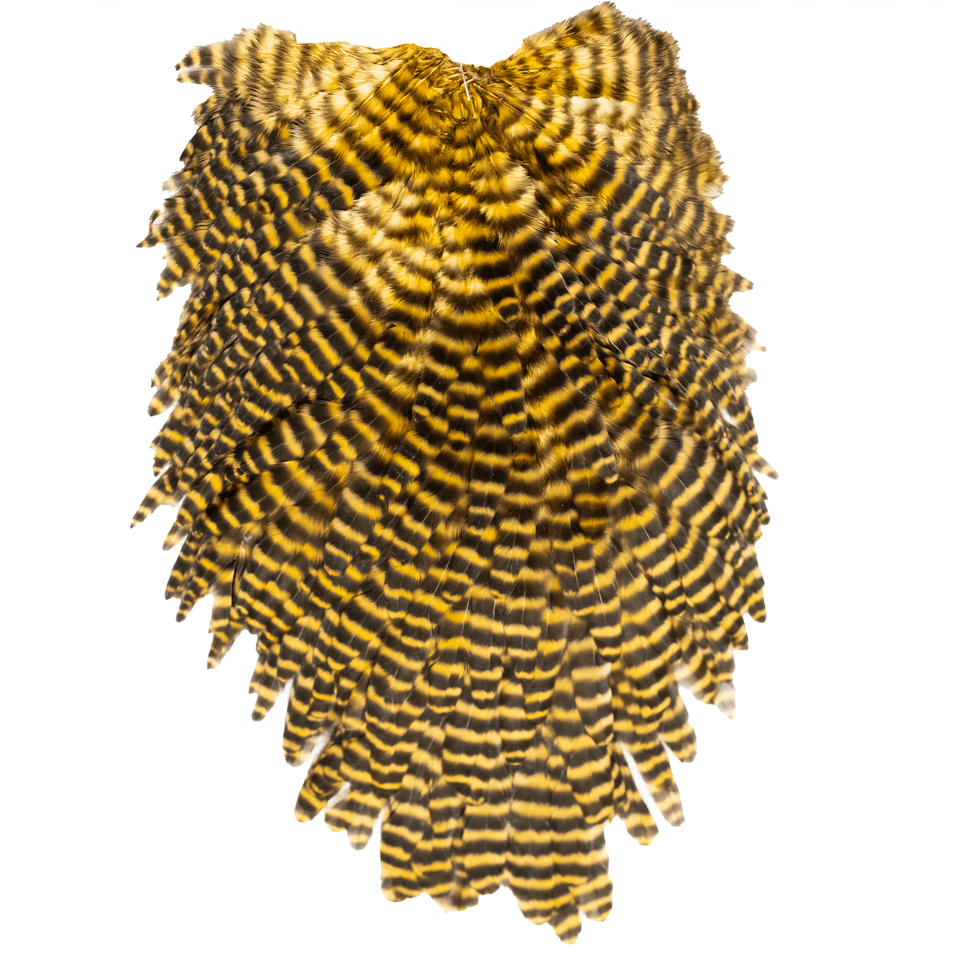 Whiting Specialty Bugger Saddle - Hackle - Fly Fish Food