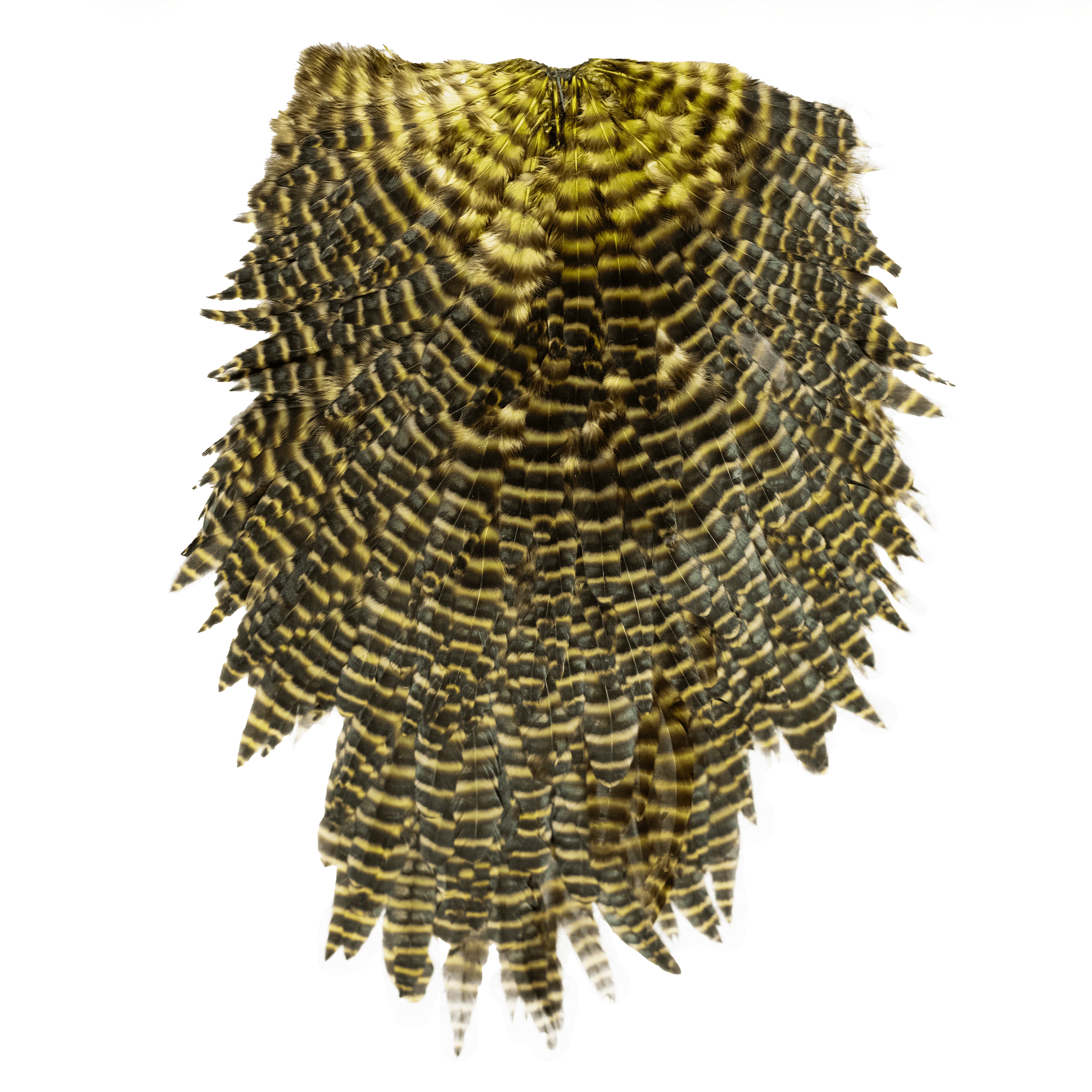 Whiting Specialty Bugger Saddle - Hackle - Fly Fish Food