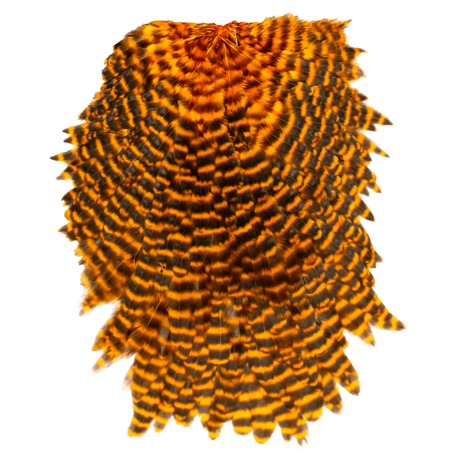 Whiting Specialty Bugger Saddle - Hackle - Fly Fish Food