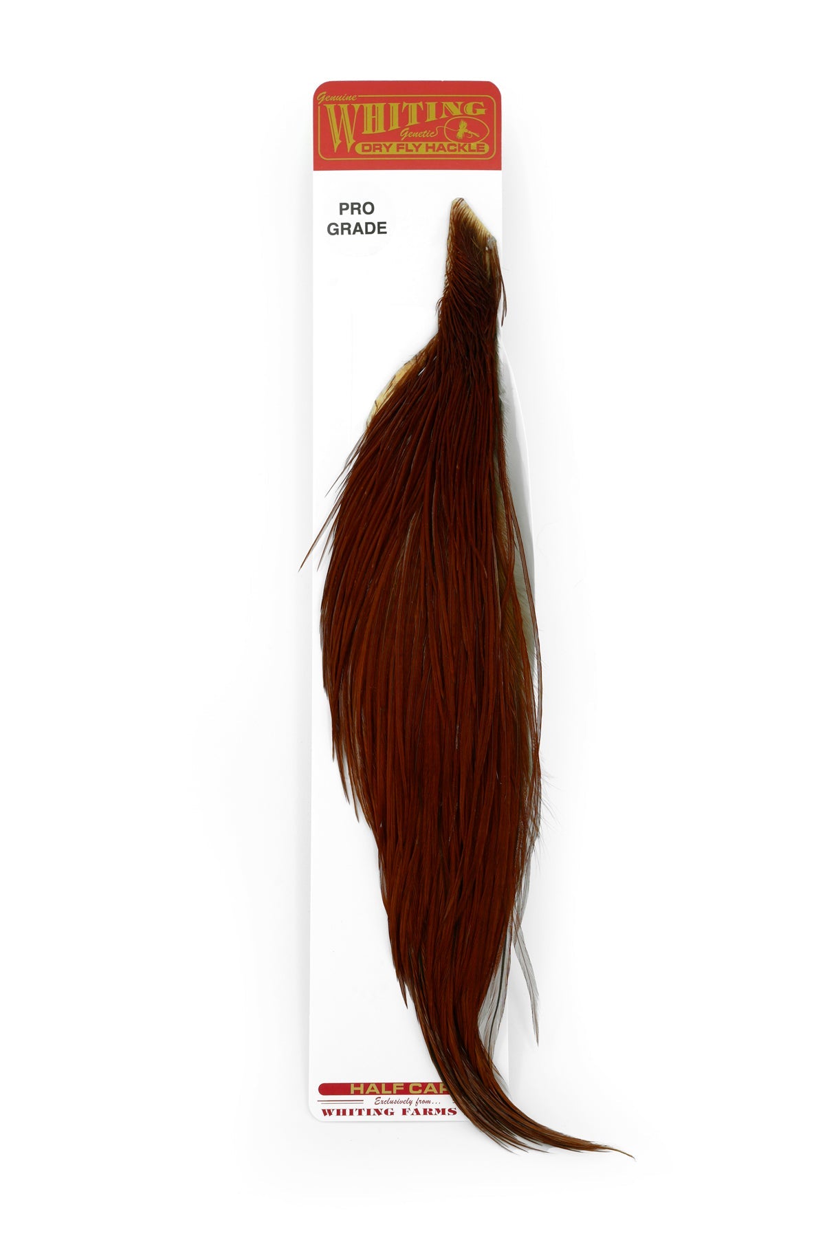 Whiting Pro Grade 1/2 Cape – Fly Fish Food