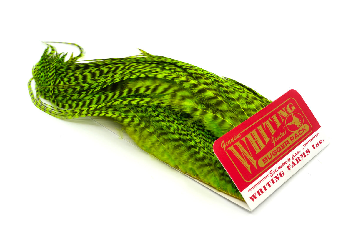 き*ゃ様 フライフィッシング　グリズリー　ハックルN Whiting Farms Whiting Bugger Pack – Fly Fish Food