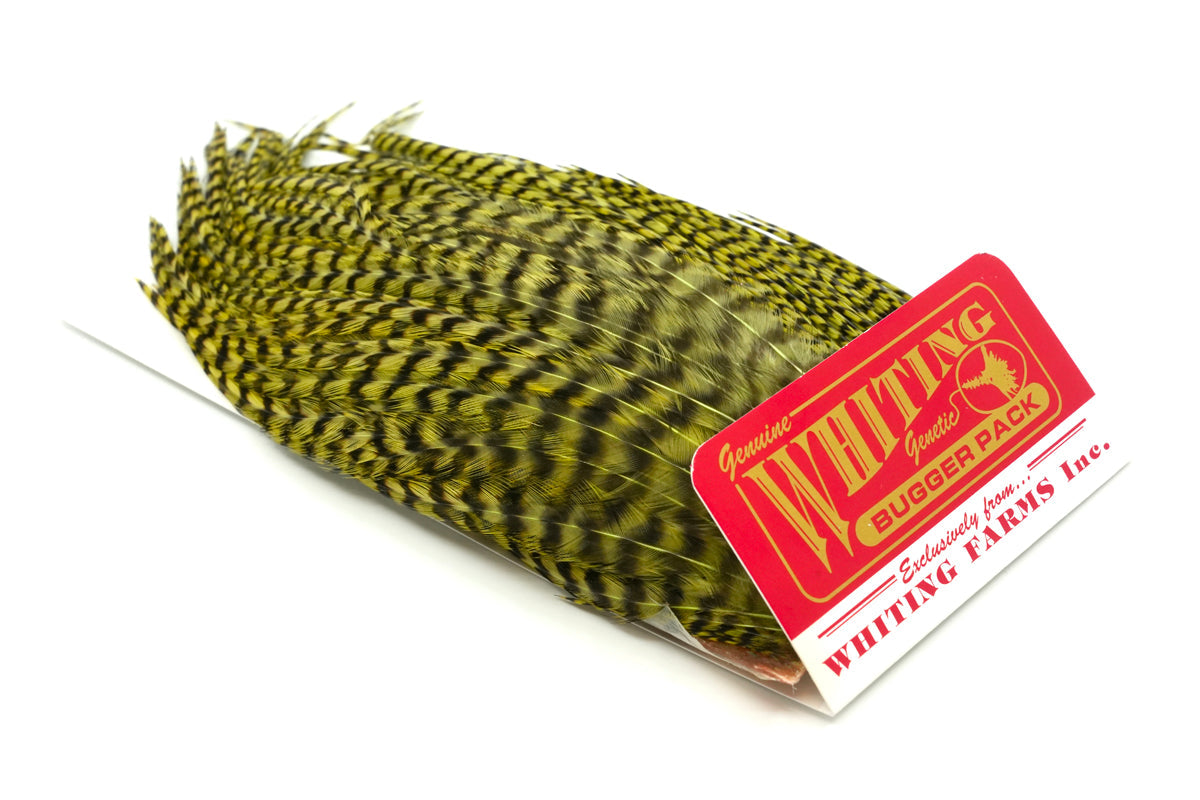 フライフィッシング　グリズリー　ハックルN Whiting Farms 上飯田取扱商品＜フライ-ハックル＞