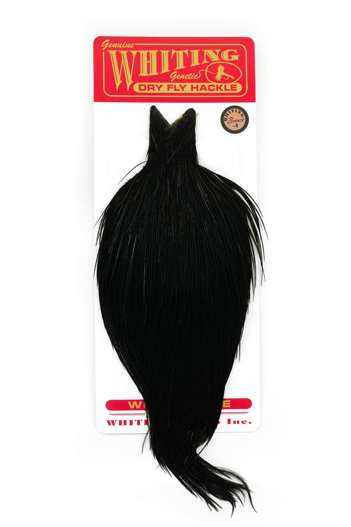 Whiting Bronze Cape - Hackle - Fly Fish Food