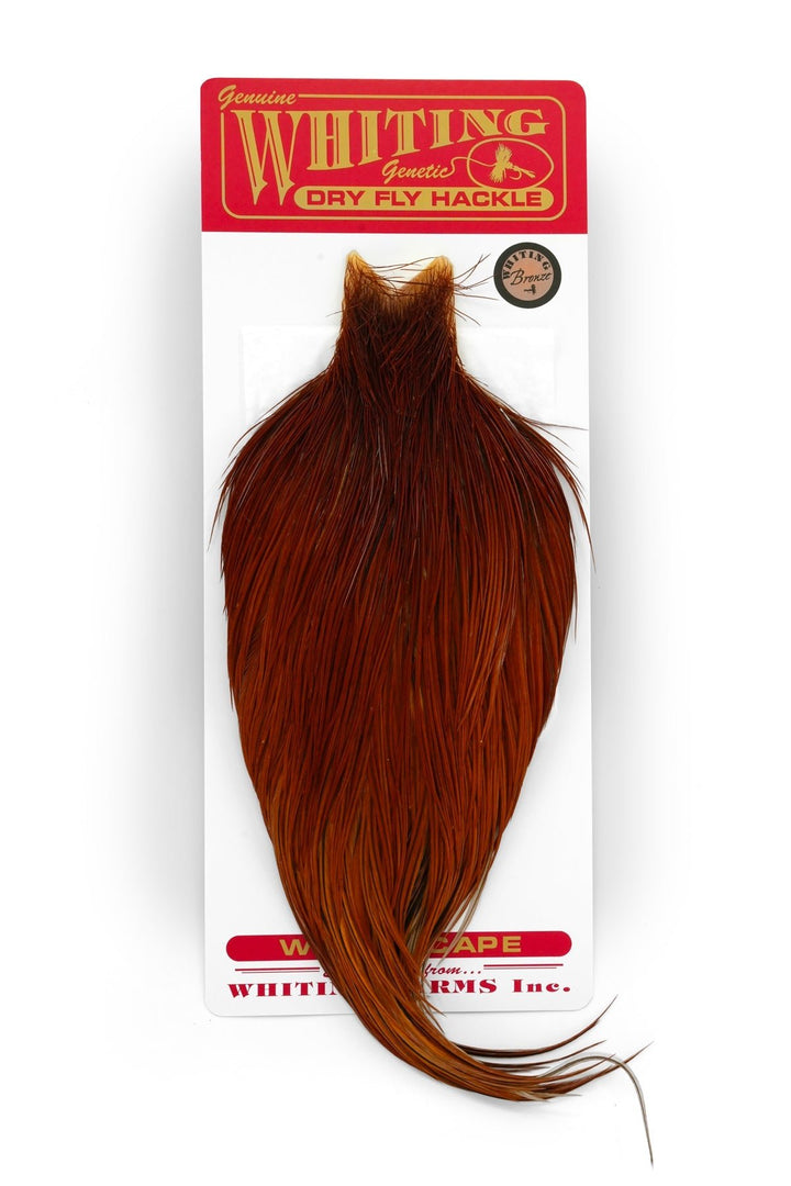 Whiting Bronze Cape - Hackle - Fly Fish Food