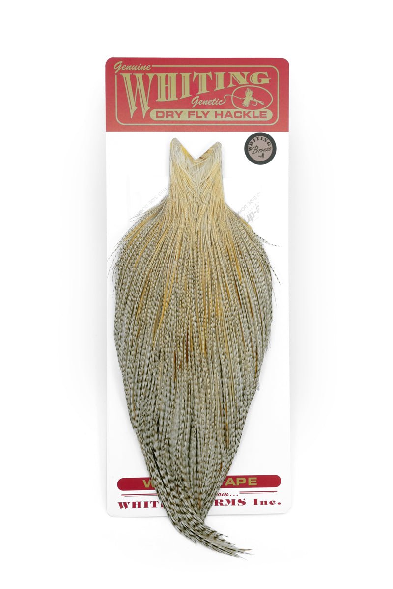 Whiting Bronze Cape - Hackle - Fly Fish Food
