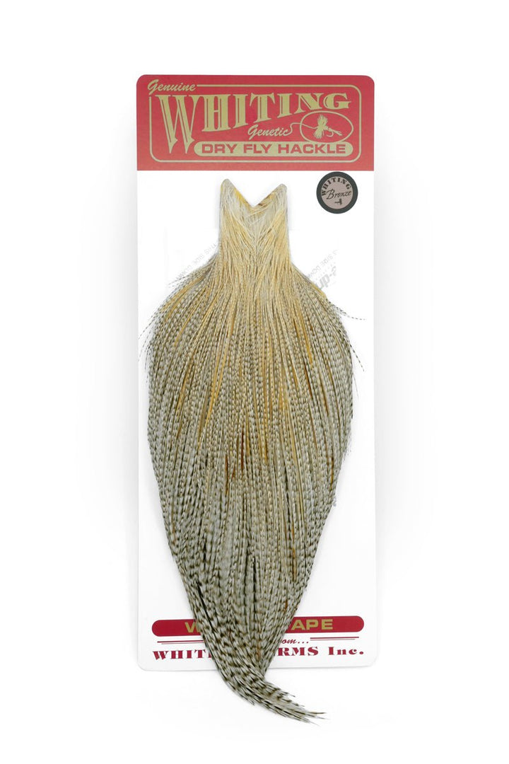 Whiting Bronze Cape - Hackle - Fly Fish Food