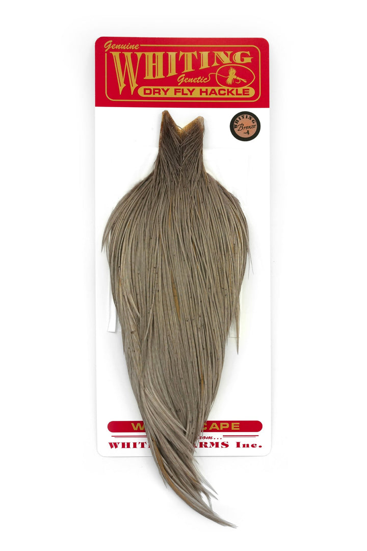 Whiting Bronze Cape - Hackle - Fly Fish Food