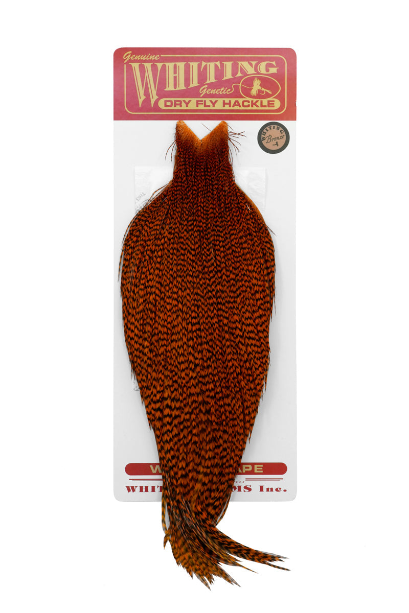 Whiting Bronze Cape