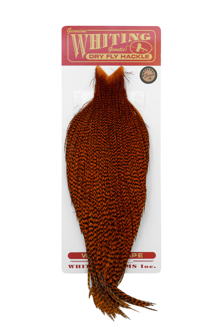 Whiting Bronze Cape