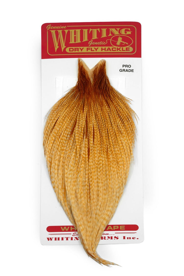 Whiting Pro Grade Cape - Hackle - Fly Fish Food