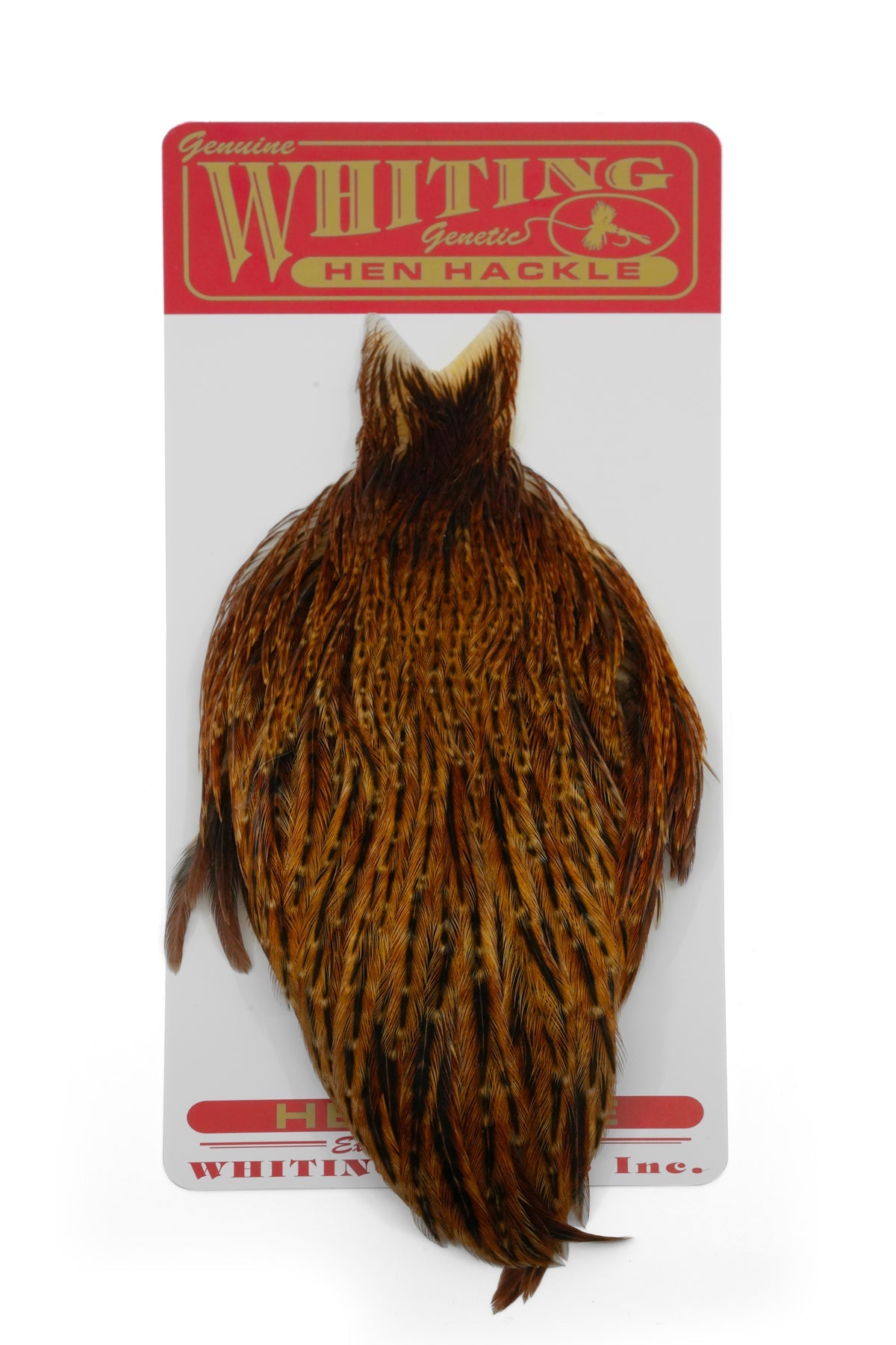Whiting Hen Cape
