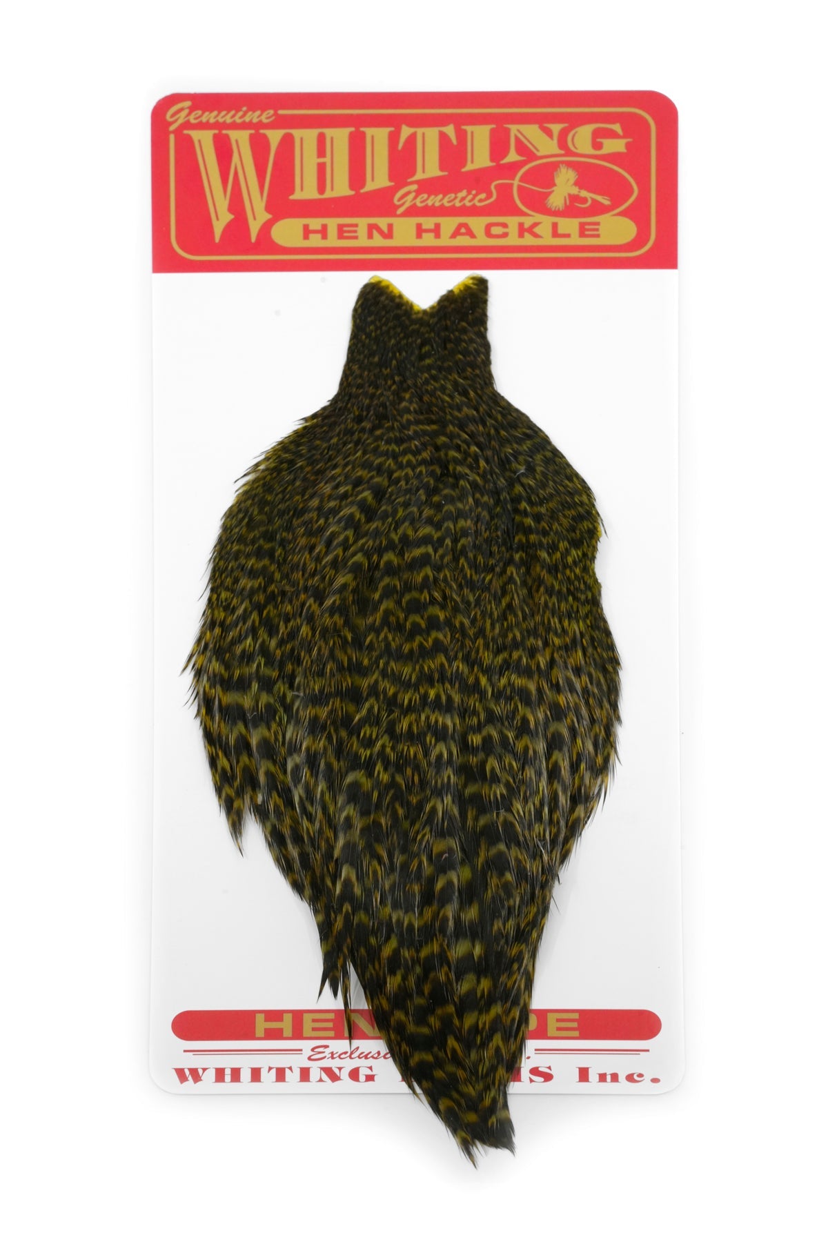 Whiting Hen Cape