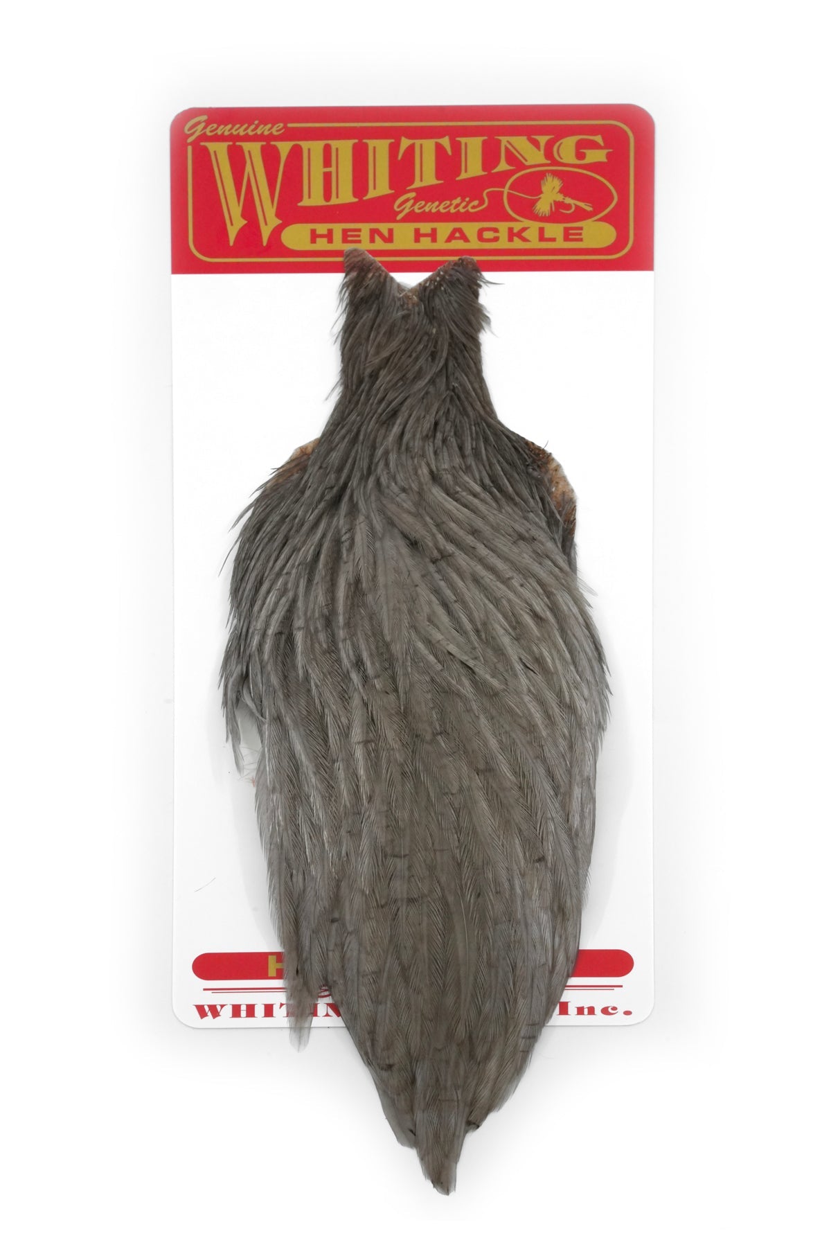 Whiting Hen Cape