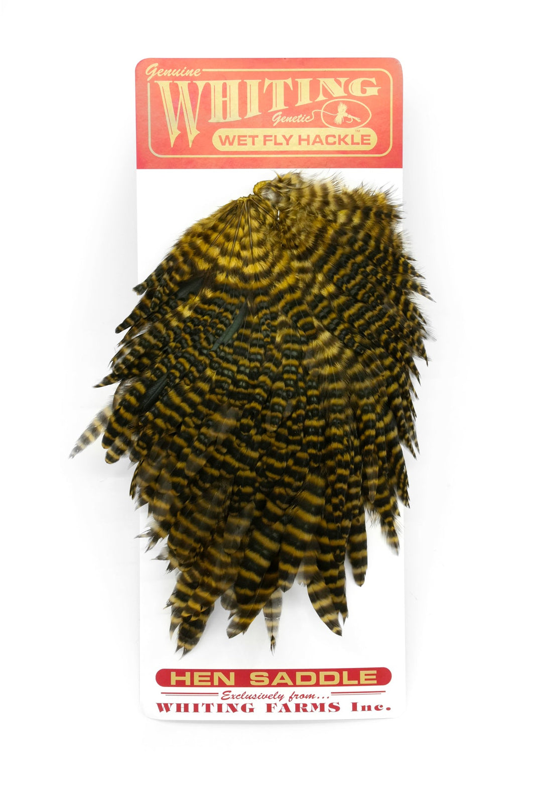 Whiting Hen Saddle - Hackle - Fly Fish Food
