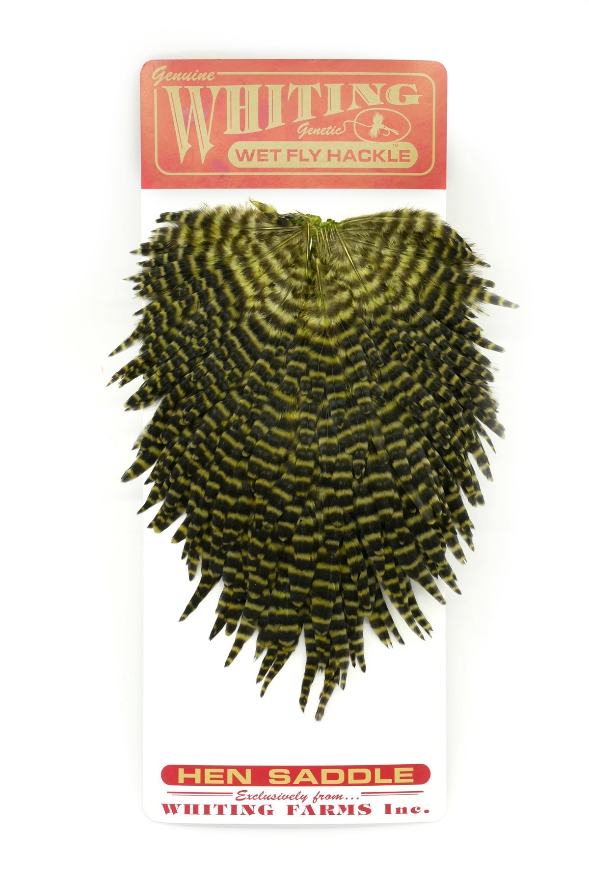 Whiting Hen Saddle - Hackle - Fly Fish Food