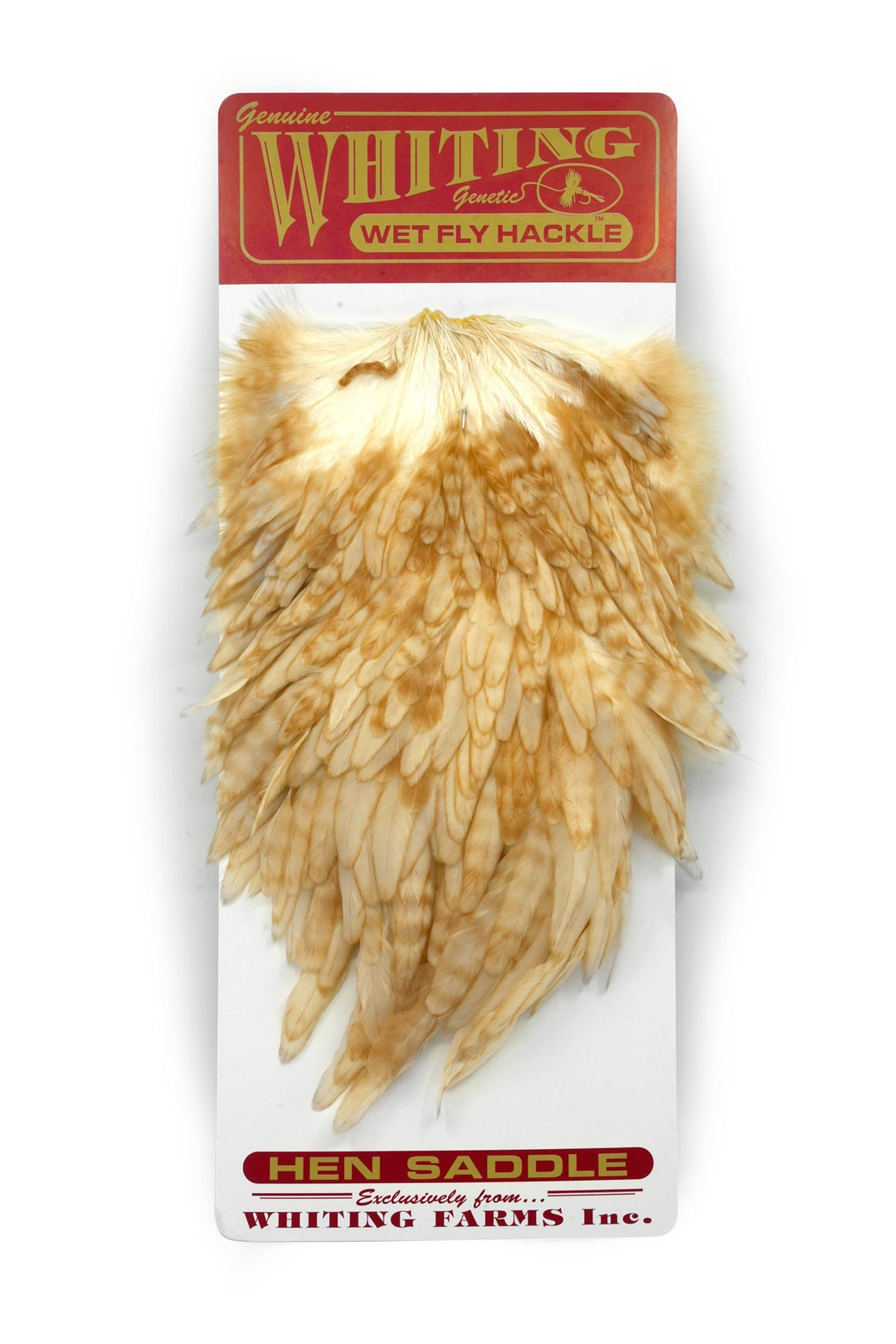 Whiting Hen Saddle - Hackle - Fly Fish Food