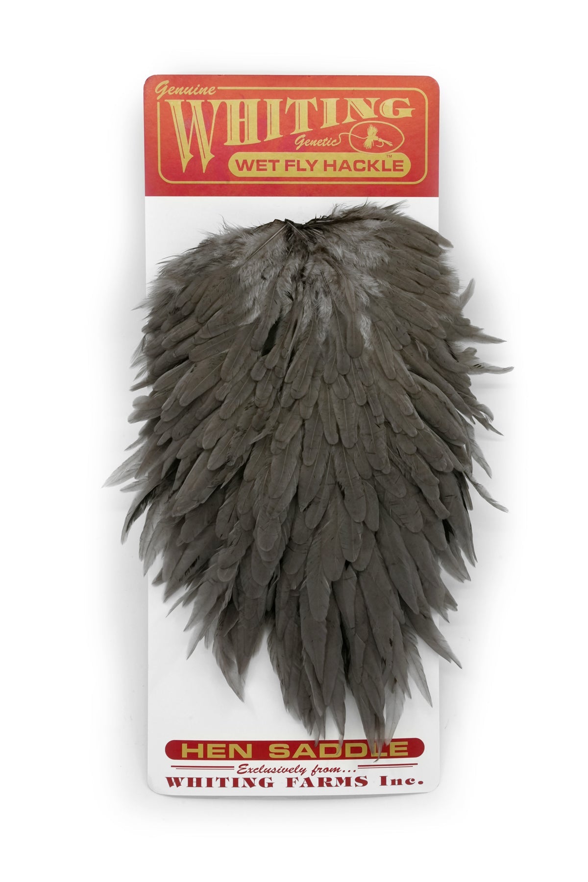 Whiting Hen Saddle - Hackle - Fly Fish Food