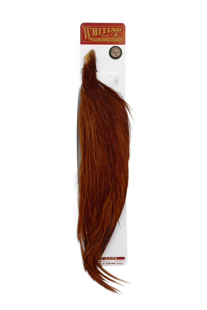Whiting Bronze 1/2 Cape - Rooster - Fly Fish Food