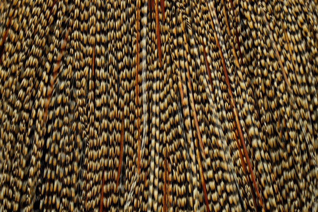 Whiting Pro Grade Cape