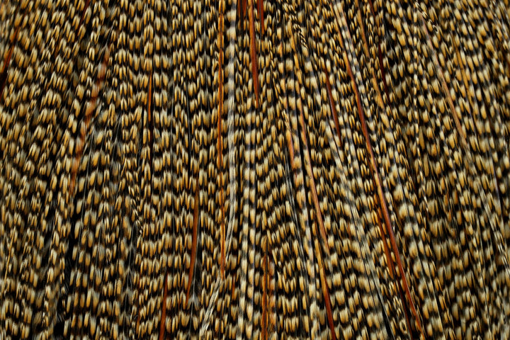Whiting Pro Grade Cape