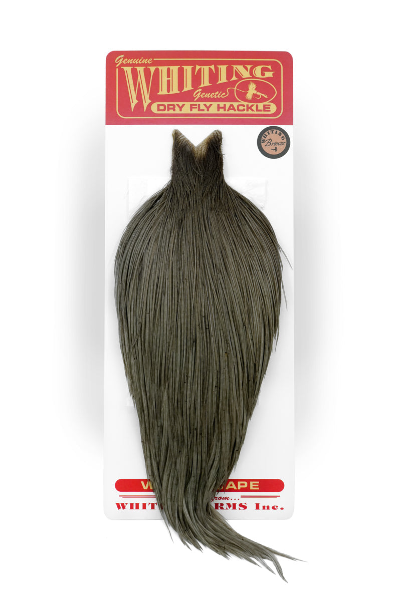 Whiting Bronze Cape – Fly Fish Food