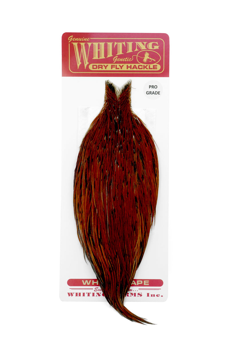 ルアー・フライ Whiting Dry Fly Hackle Pro Grade Whiting Pro Grade Cape – Fly Fish Food