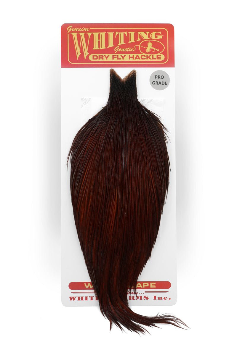 Whiting Pro Grade Cape - Hackle - Fly Fish Food