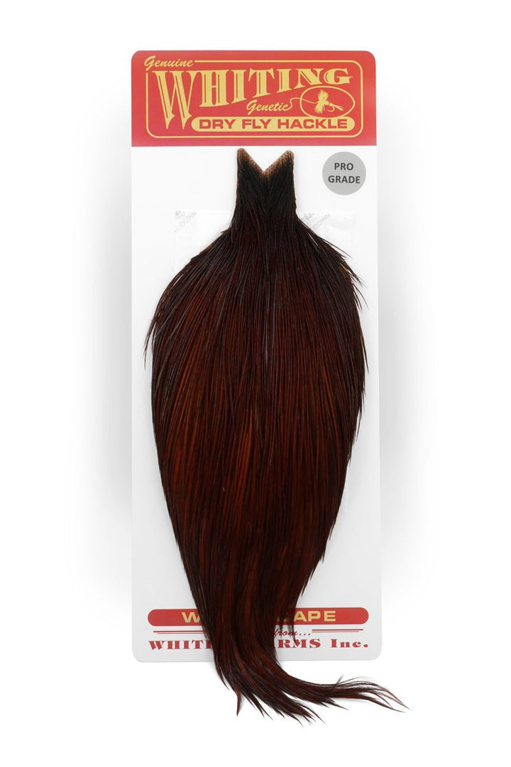 Whiting Pro Grade Cape - Hackle - Fly Fish Food