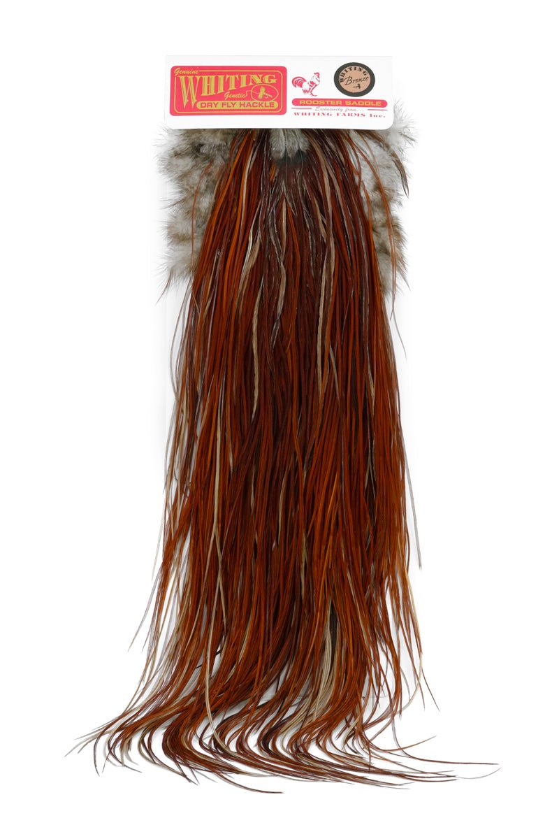 Whiting Bronze Saddle - Rooster - Fly Fish Food