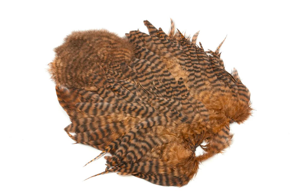 Whiting Rooster Soft Hackle with Chickabou - Hackle - Fly Fish Food