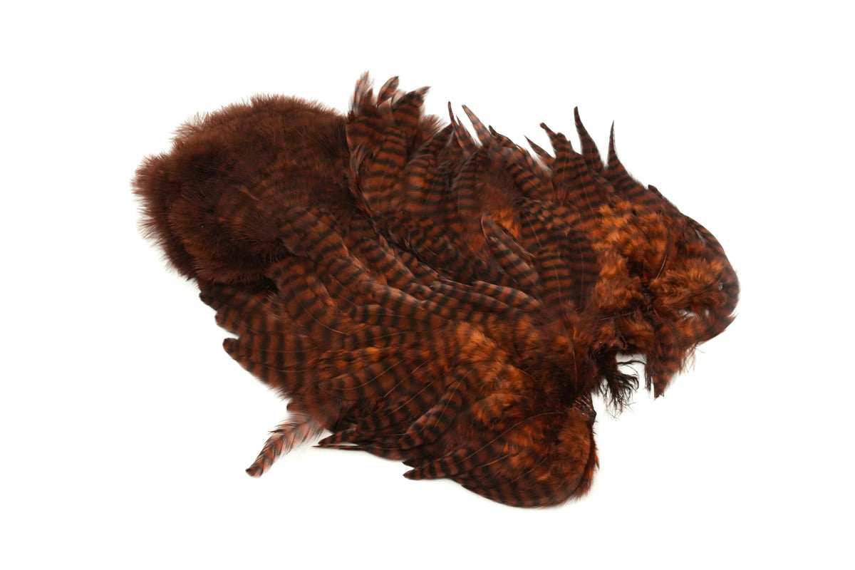 Whiting Rooster Soft Hackle with Chickabou - Hackle - Fly Fish Food