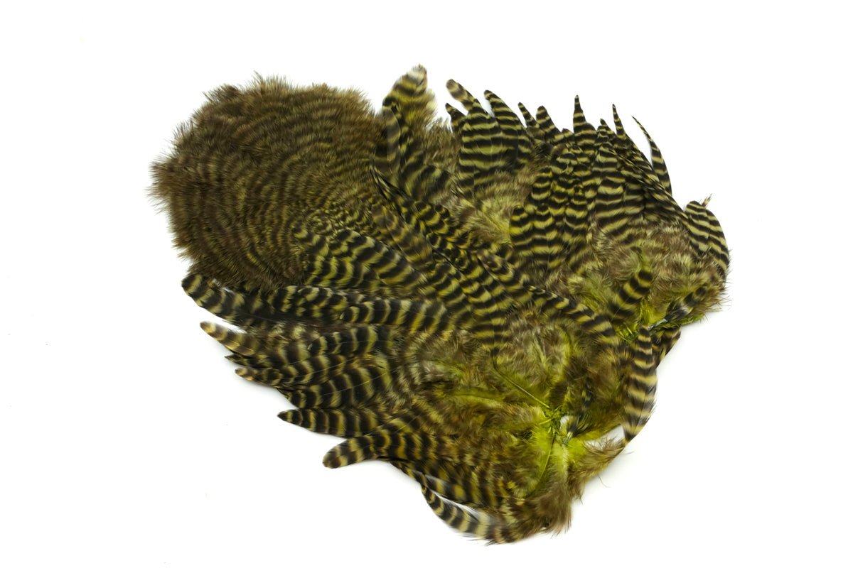 Whiting Rooster Soft Hackle with Chickabou - Hackle - Fly Fish Food