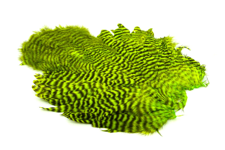 Whiting Rooster Soft Hackle with Chickabou