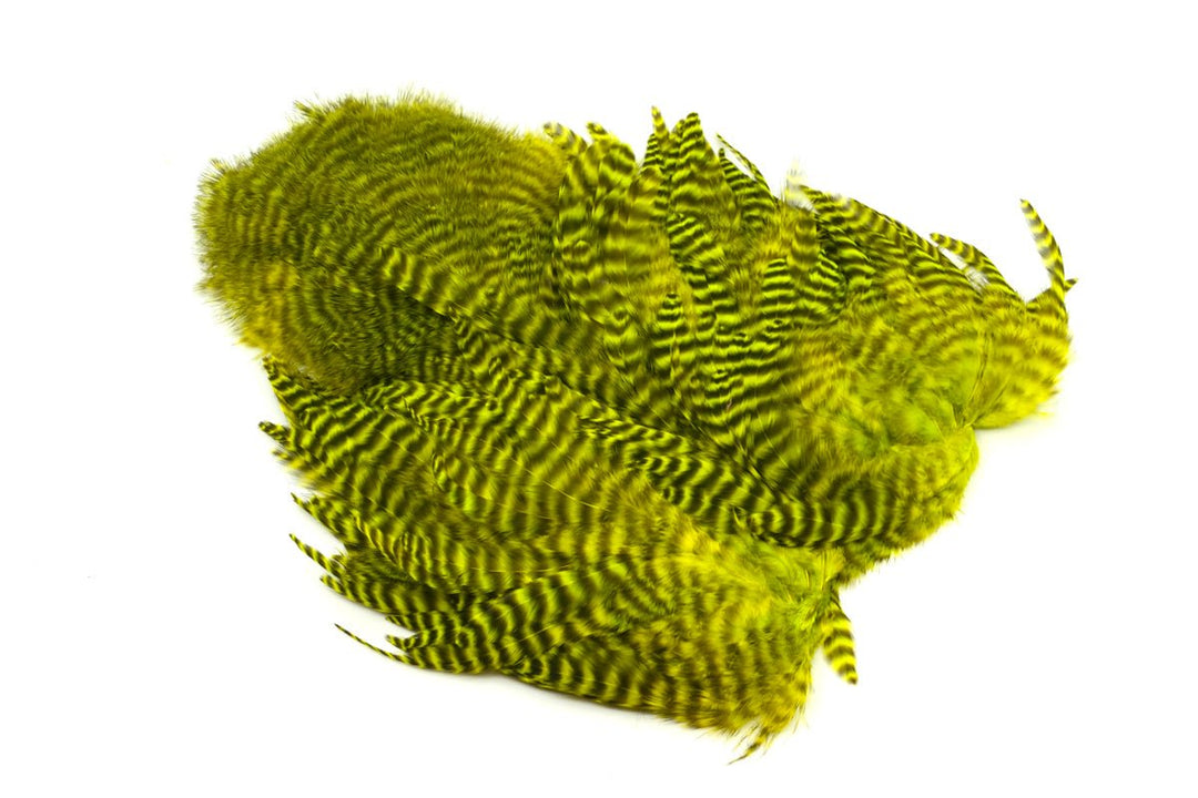 Whiting Rooster Soft Hackle with Chickabou - Hackle - Fly Fish Food