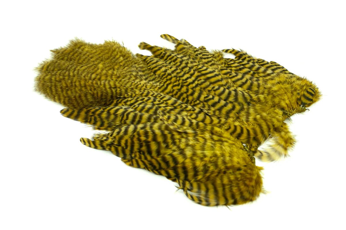 Whiting Rooster Soft Hackle with Chickabou - Hackle - Fly Fish Food