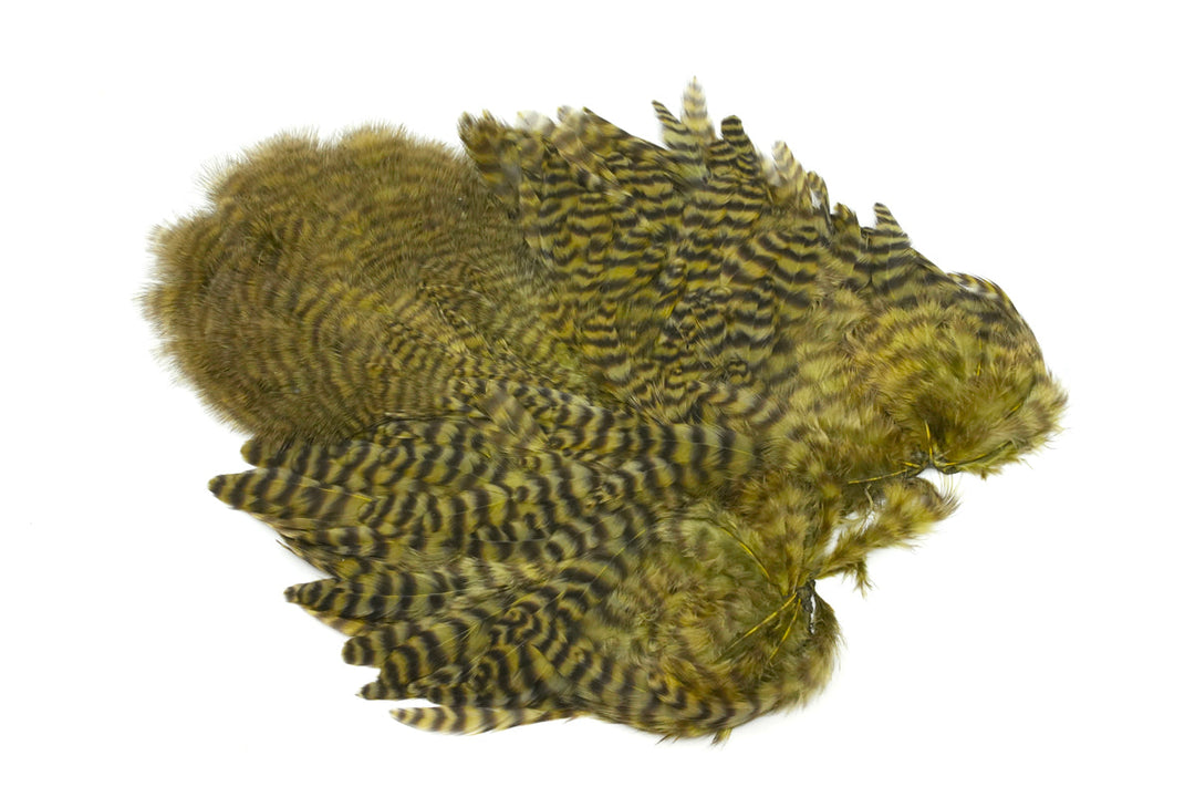 Whiting Rooster Soft Hackle with Chickabou