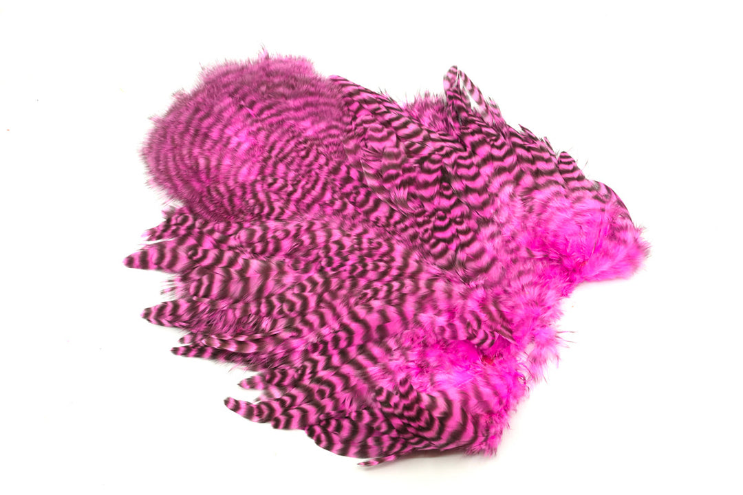 Whiting Rooster Soft Hackle with Chickabou