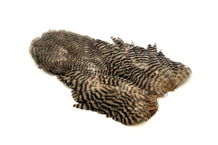 Whiting Rooster Soft Hackle with Chickabou - Hackle - Fly Fish Food