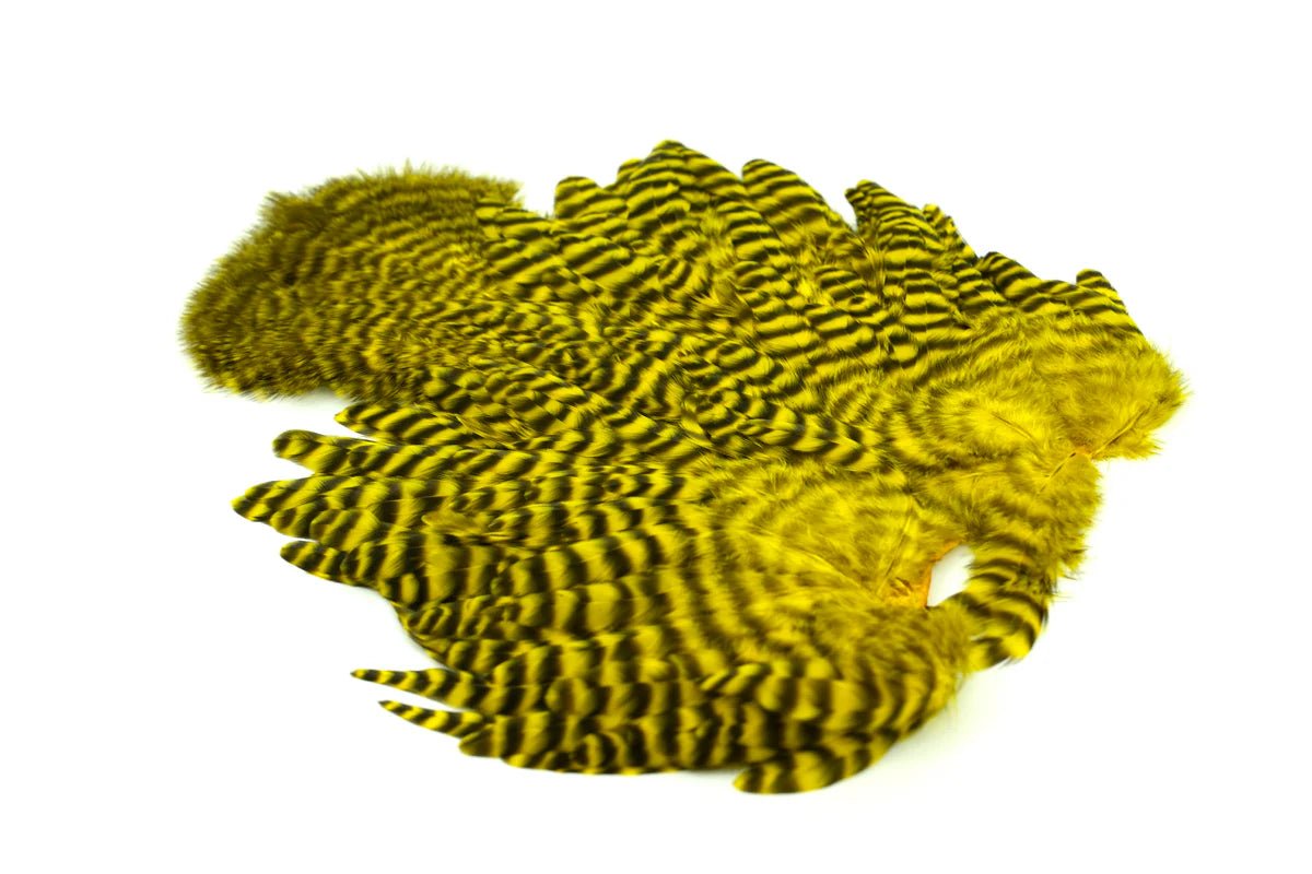 Whiting Rooster Soft Hackle with Chickabou - Hackle - Fly Fish Food