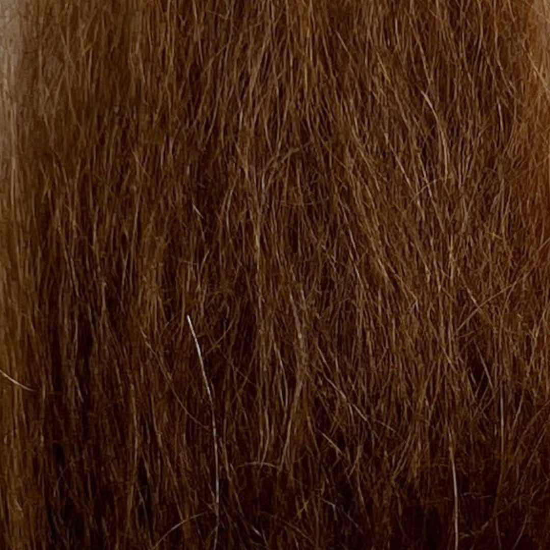 Brown Long Hair Fur