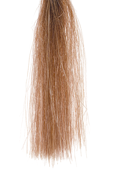 Senyo's Shadow Fiber