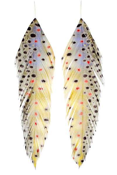 MFC - Galloup's Fish Feathers