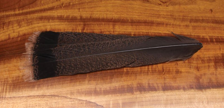 Cinnamon Tip Turkey Tail Feathers - Feathers & Marabou - Fly Fish Food