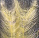 Polar Fiber Streamer Brush