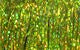 Flashabou Magnum - Synthetic Fibers & Flash - Fly Fish Food