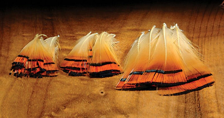 Golden Pheasant Med Tippets - Feathers & Marabou - Fly Fish Food
