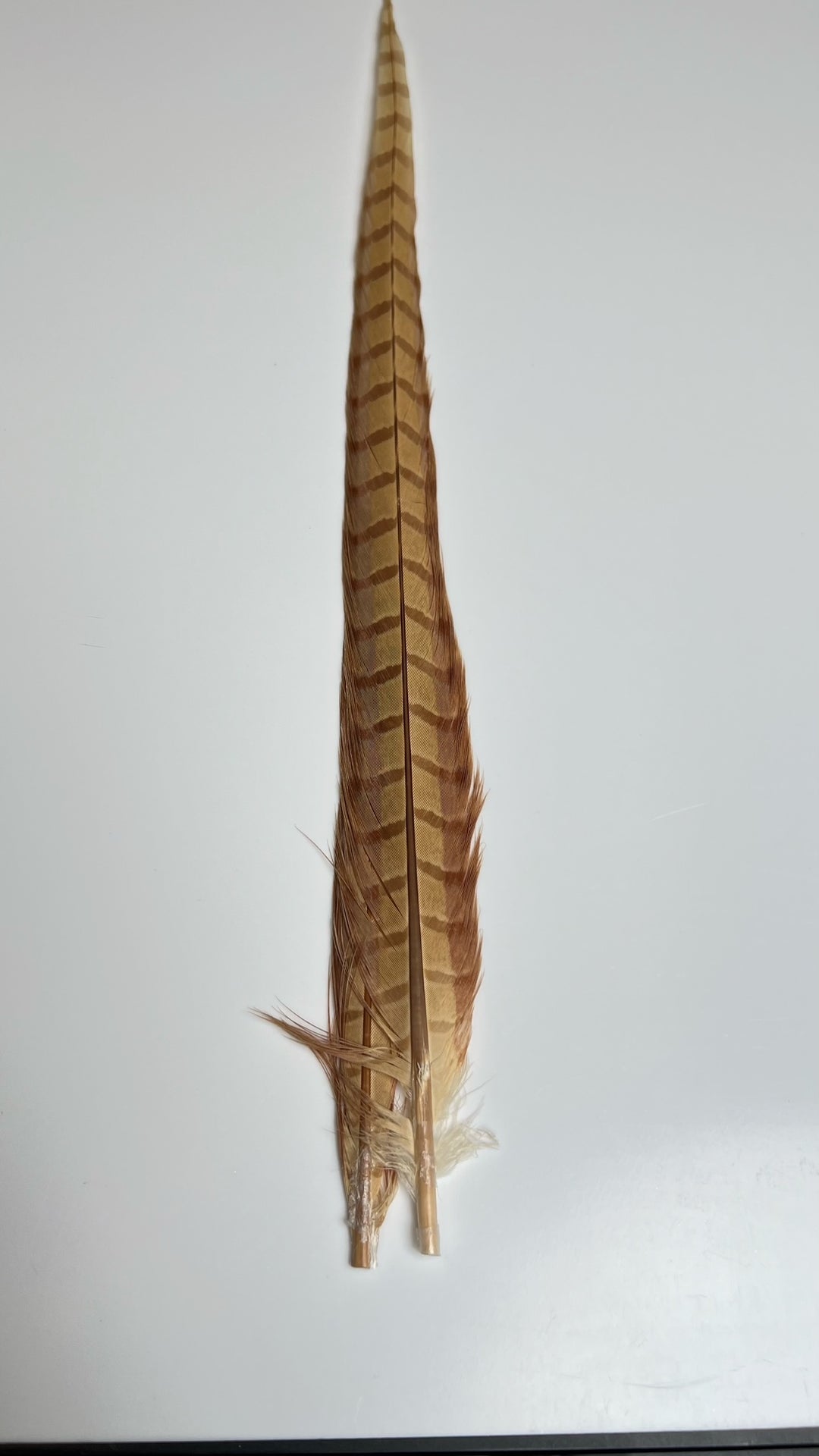 Pheasant Tail Center Pairs
