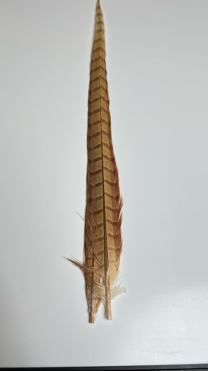 Pheasant Tail Center Pairs