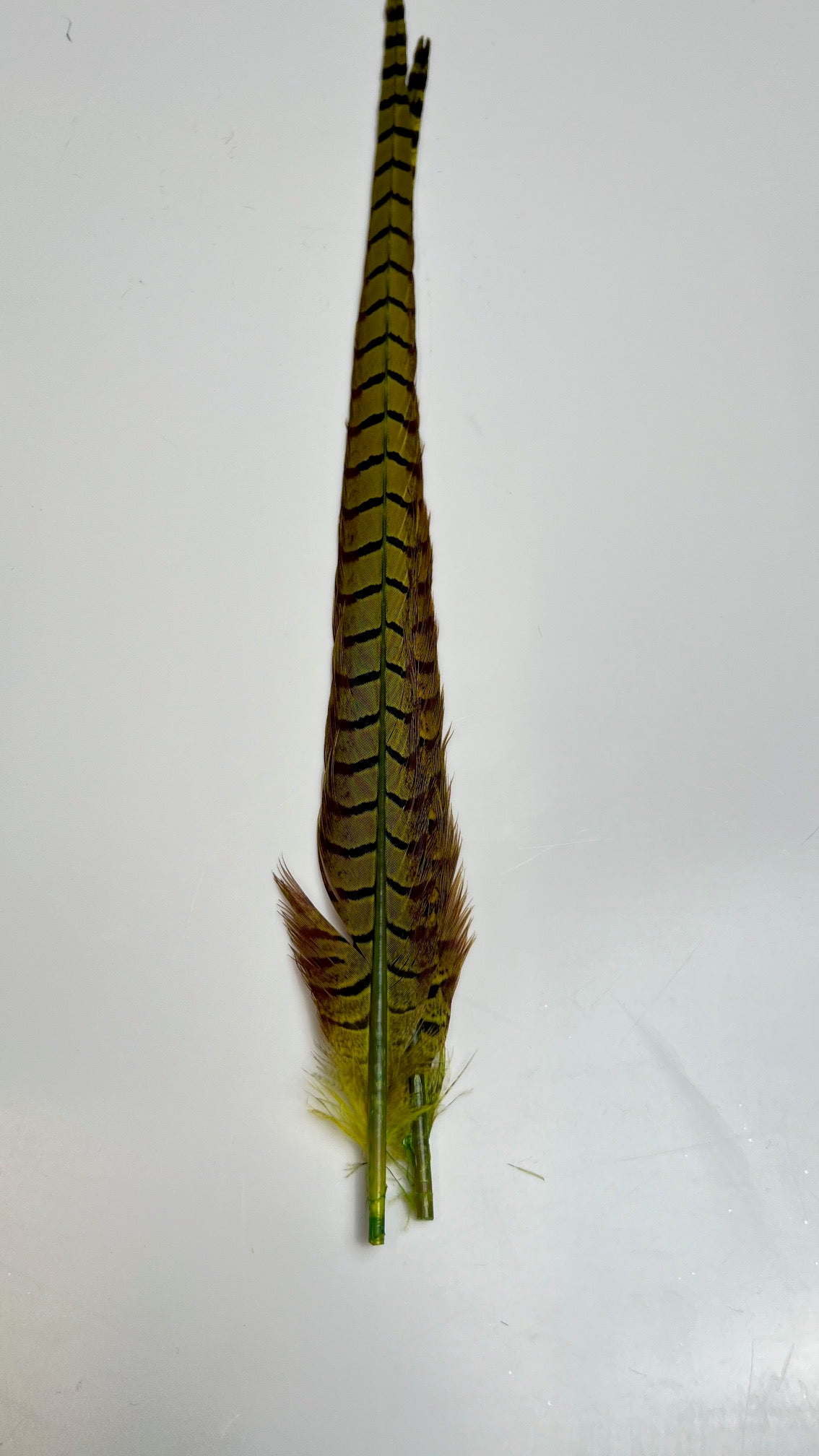 Pheasant Tail Center Pairs - Feathers & Marabou - Fly Fish Food